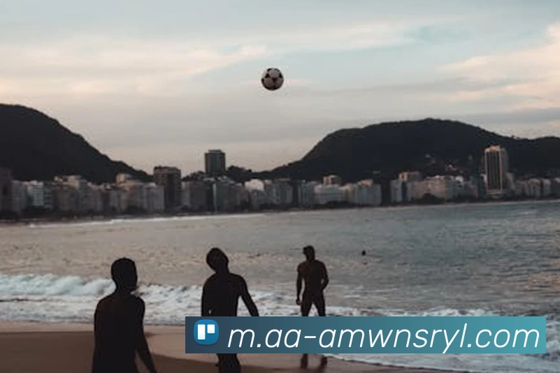 威尼斯人官网APP 封面图